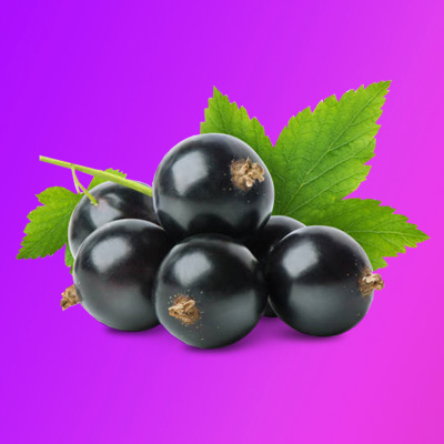 Top 10 Blackcurrant Vape Juices To Buy In The UK