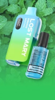 Lost Mary BM6000 Menthol Flavour