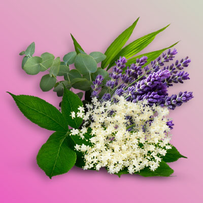 What Are The Best Floral Vape Juices to Buy In The UK?