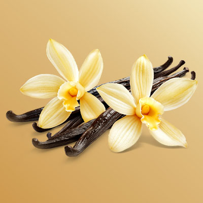 Top 10 Vanilla Vape Juices To Buy In The UK