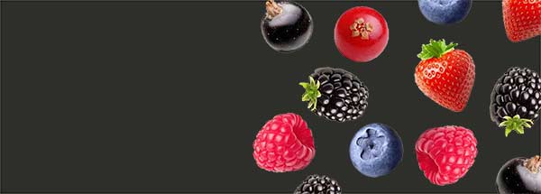 Berry Fruit Flavours
