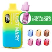 Lost Mary BM6000 Pod Kit