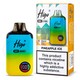 Higo BB 4000 Vape Kit