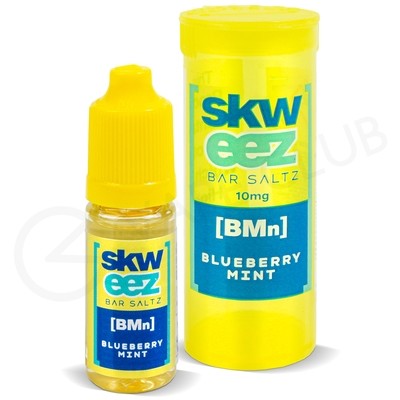 Blueberry Mint Nic Salt E-Liquid by Skweez